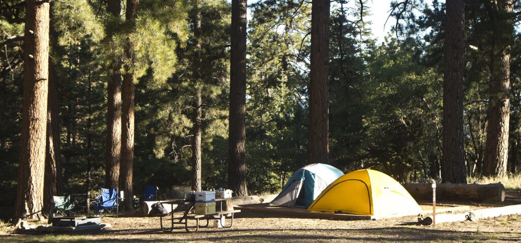 A yellow and a green tent set up at the North Rim Campground, surrounded by ponderosa pine trees