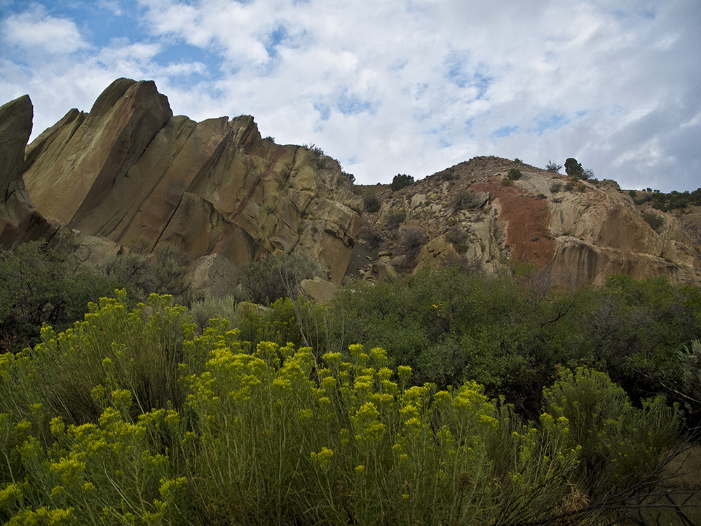 Yellow brittlebush blooms in front of jagged cliffs