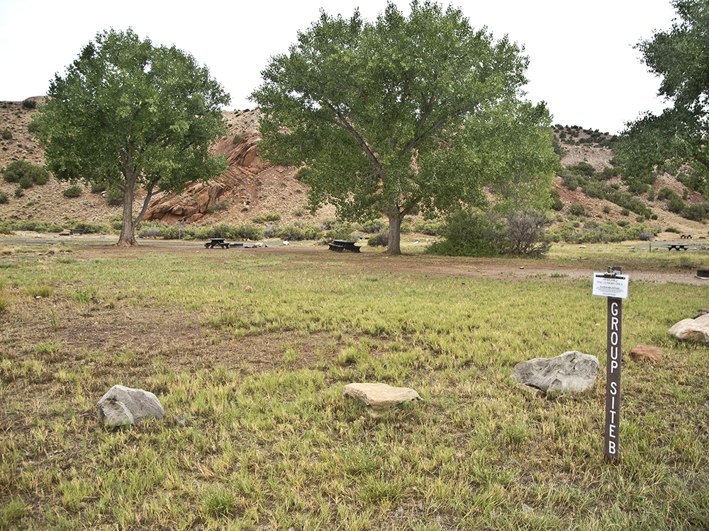 A group site with trees providing shade