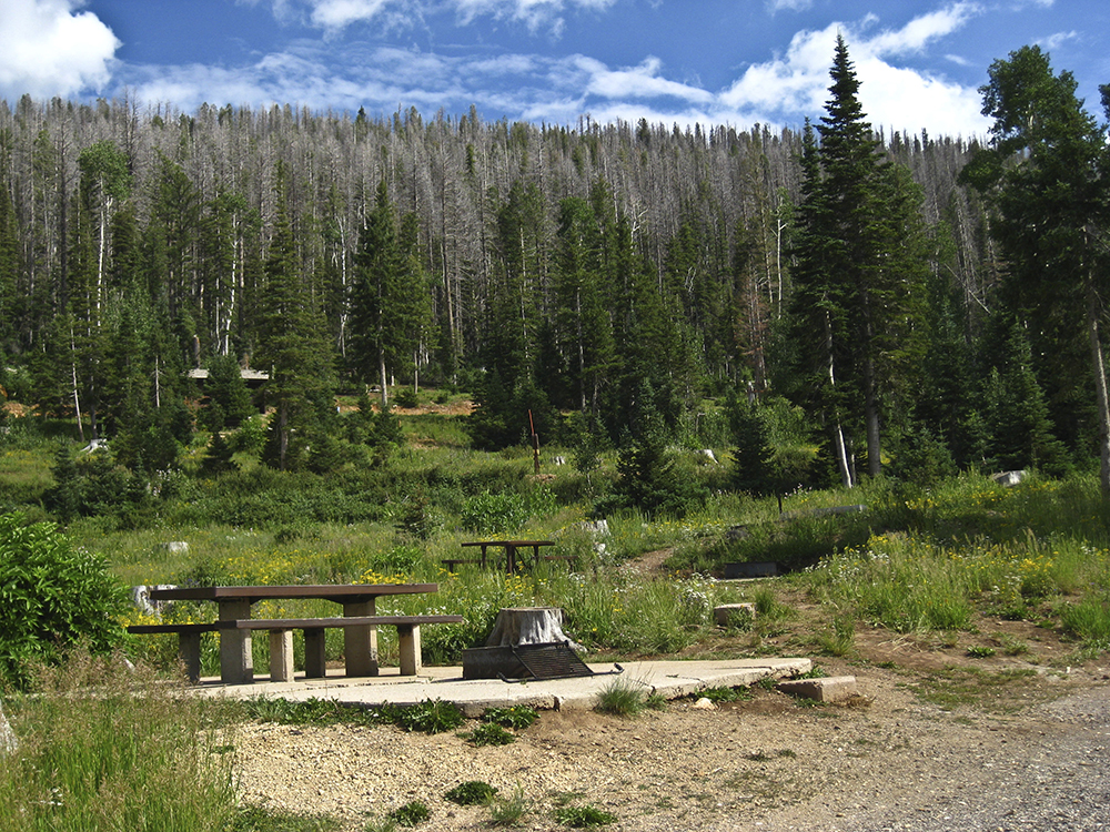 A picnic table and fire ring at an empty campsite