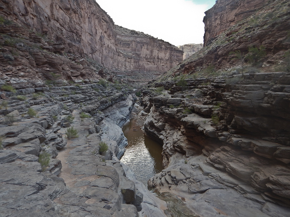 A view of the lower stretch of Dark Canyon with water in the bottom