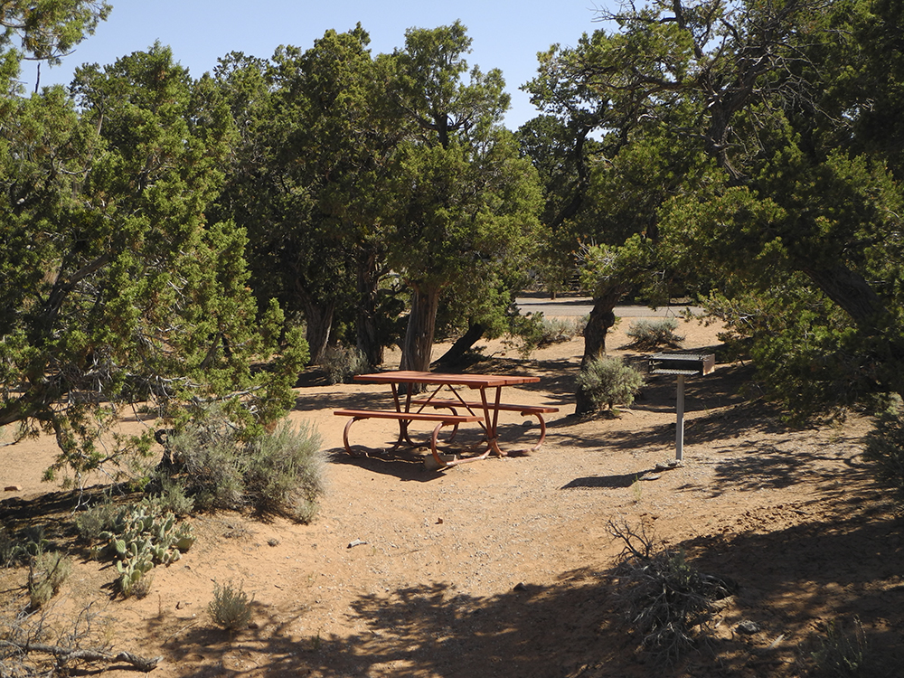 A picnic table surrounded by pinyon and juniper trees in Sunset View Campground