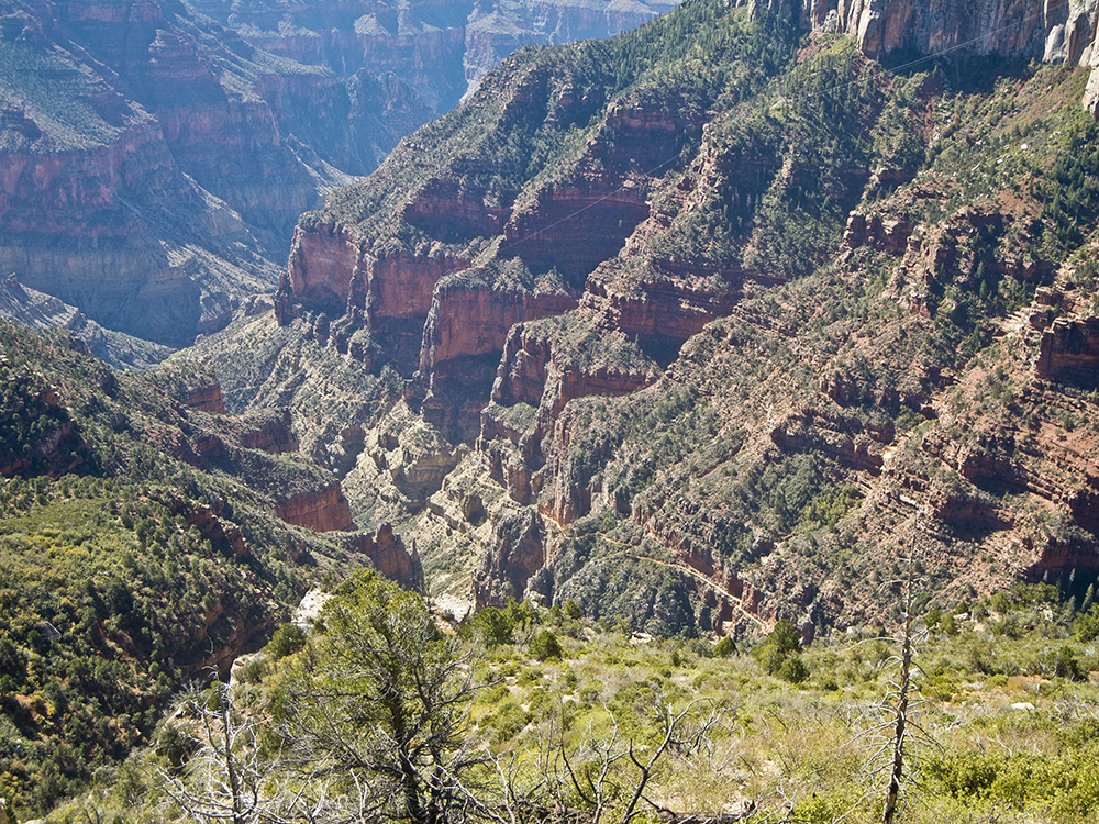 A view of Grand Canyon cliffs from the Uncle Jim Trail