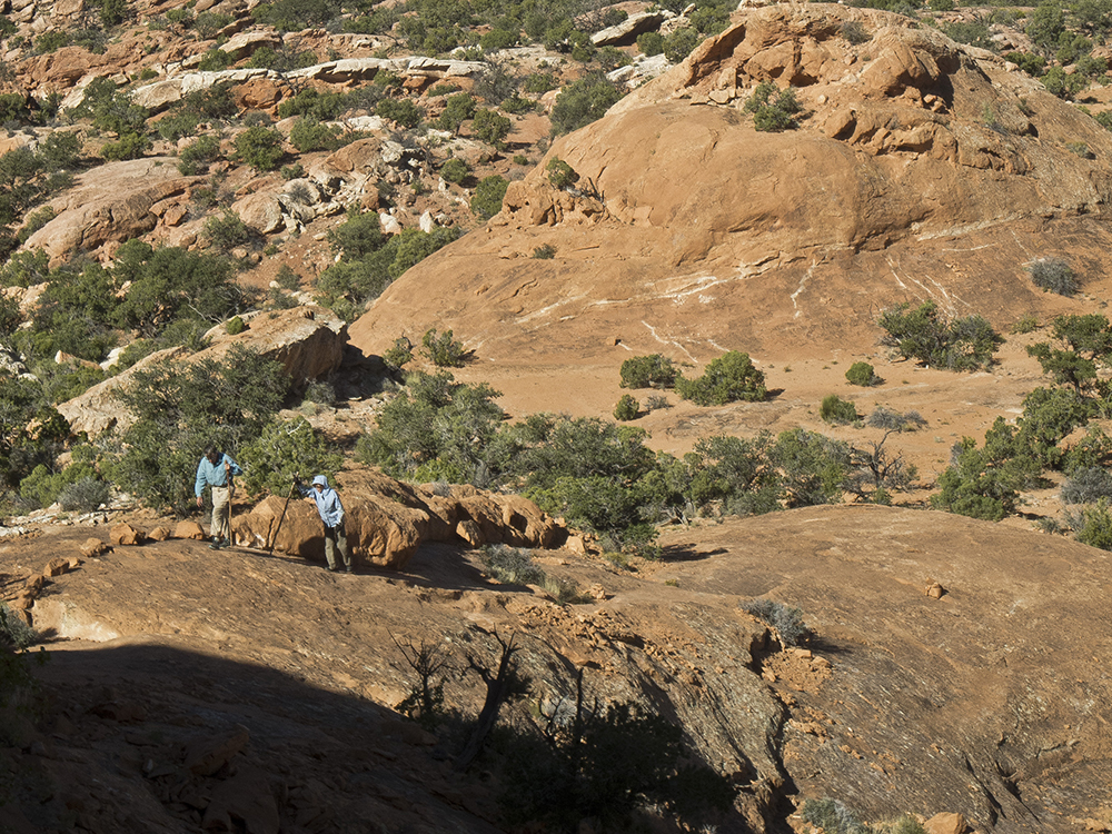 Hikers on slickrock