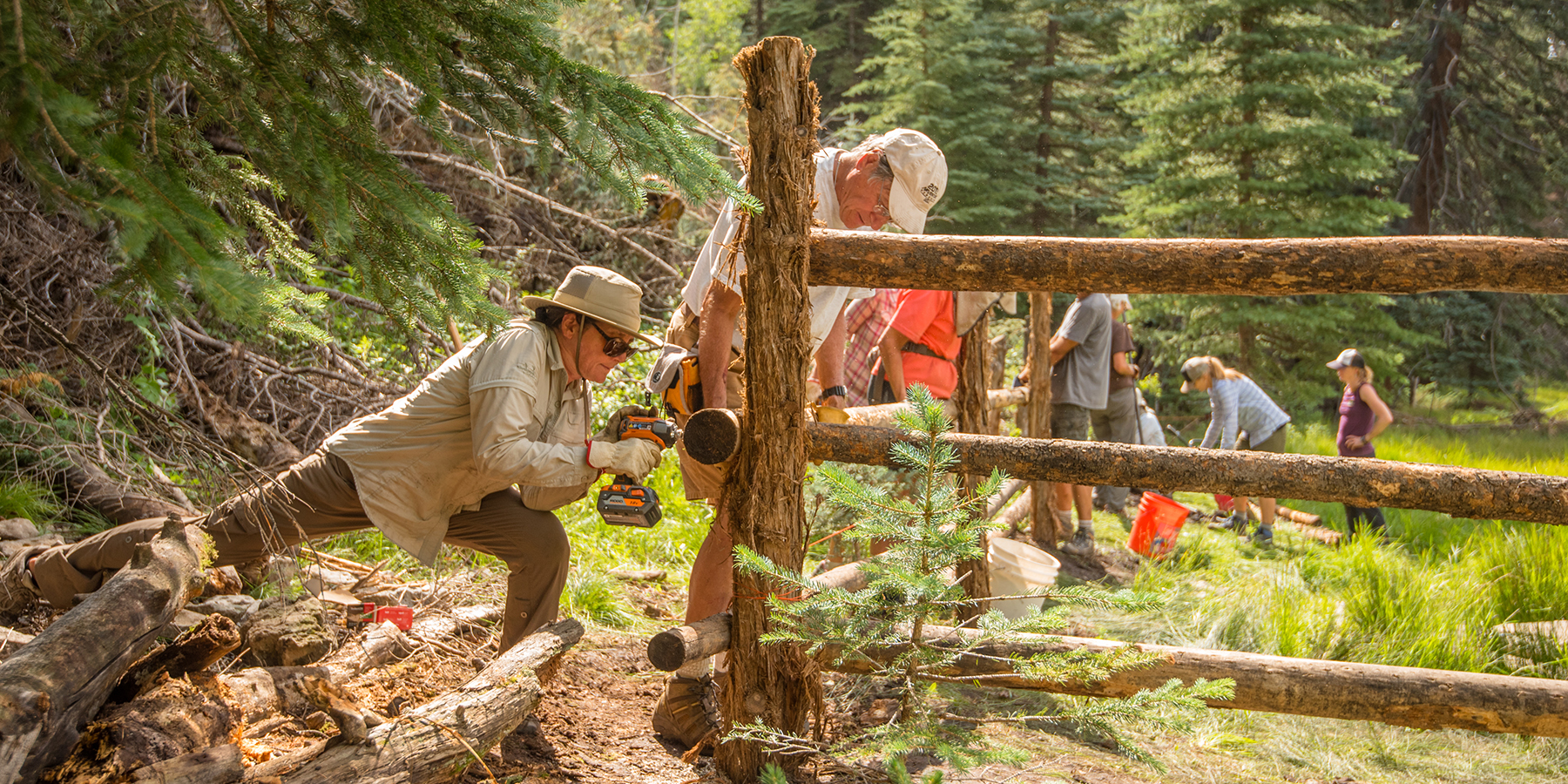 A volunteer drills a screw into a fence post while constructing a fence to protect a spring