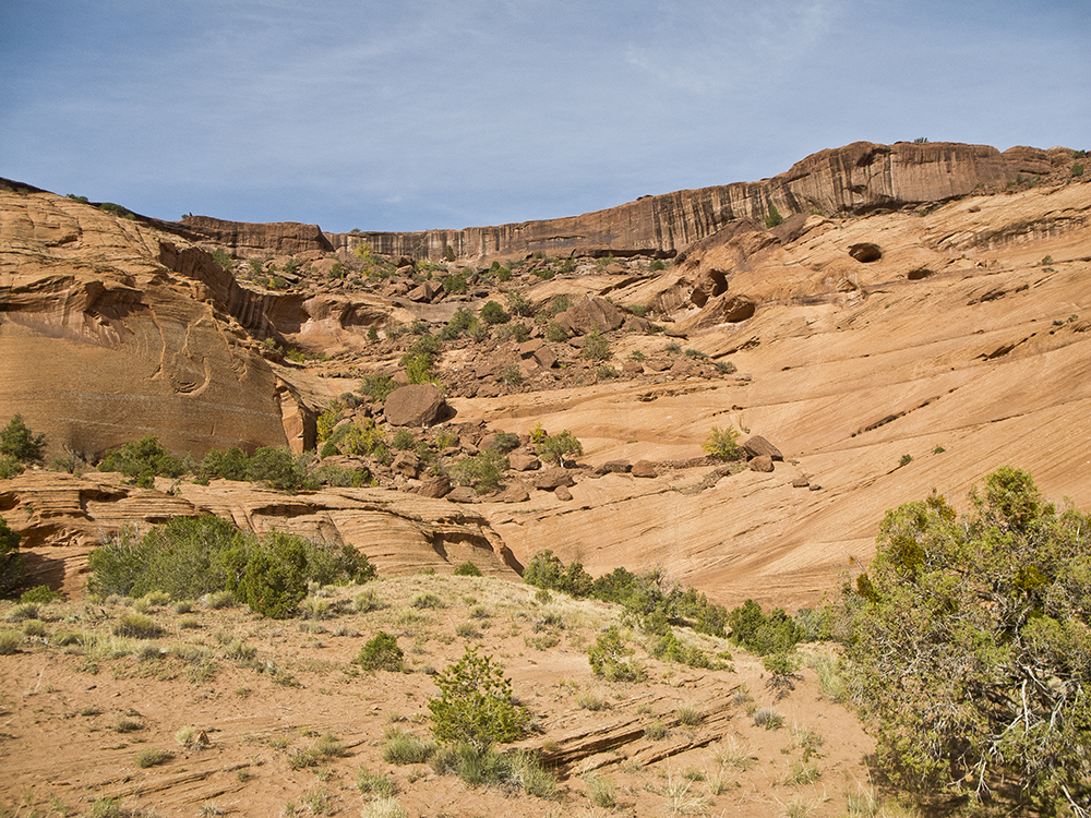 A view of orange slickrock