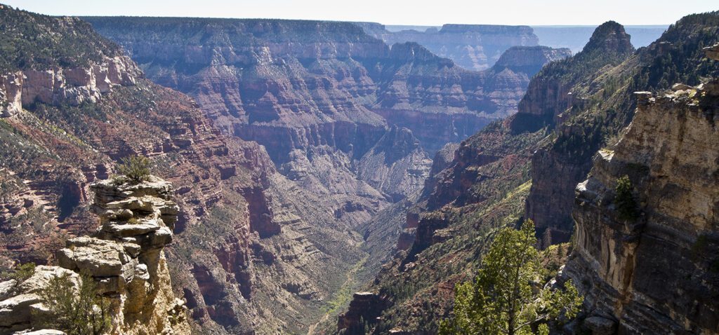 A view of the Grand Canyon from the Widorss Trail