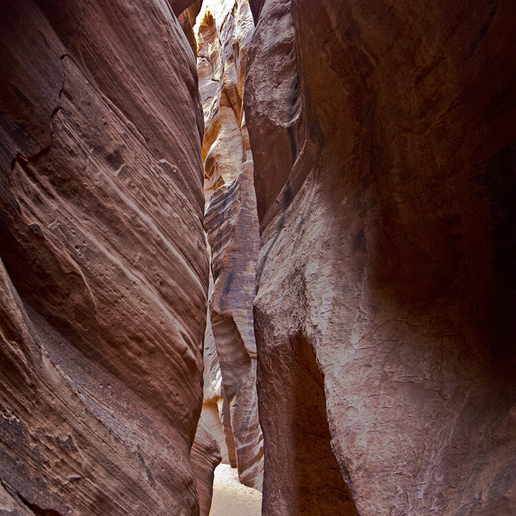 A view of the narrow slot canyon called Wire Pass with deep orange walls.