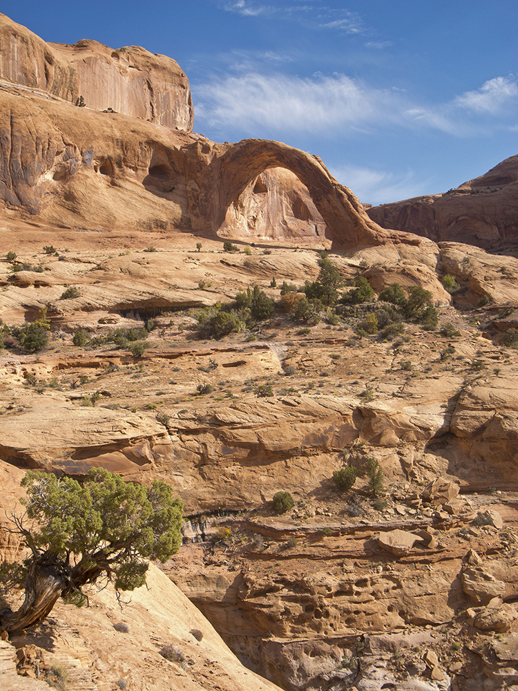 A view of the arch from the approach