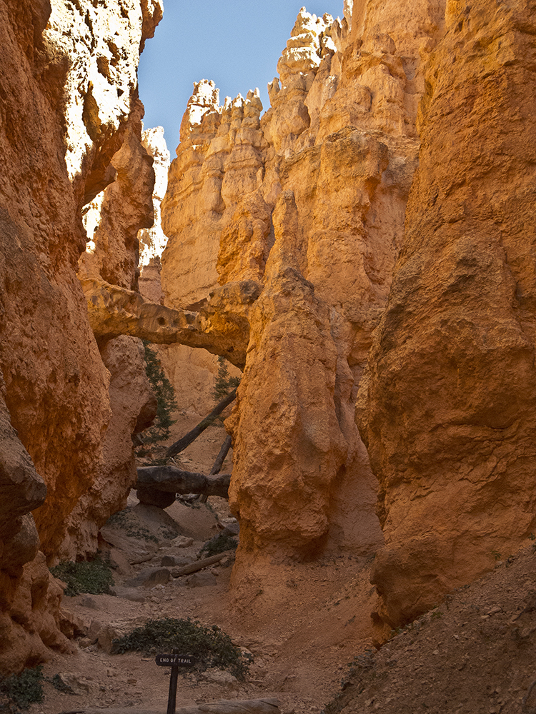 a natural bridge made of orange rock in Bryce Canyon National Park