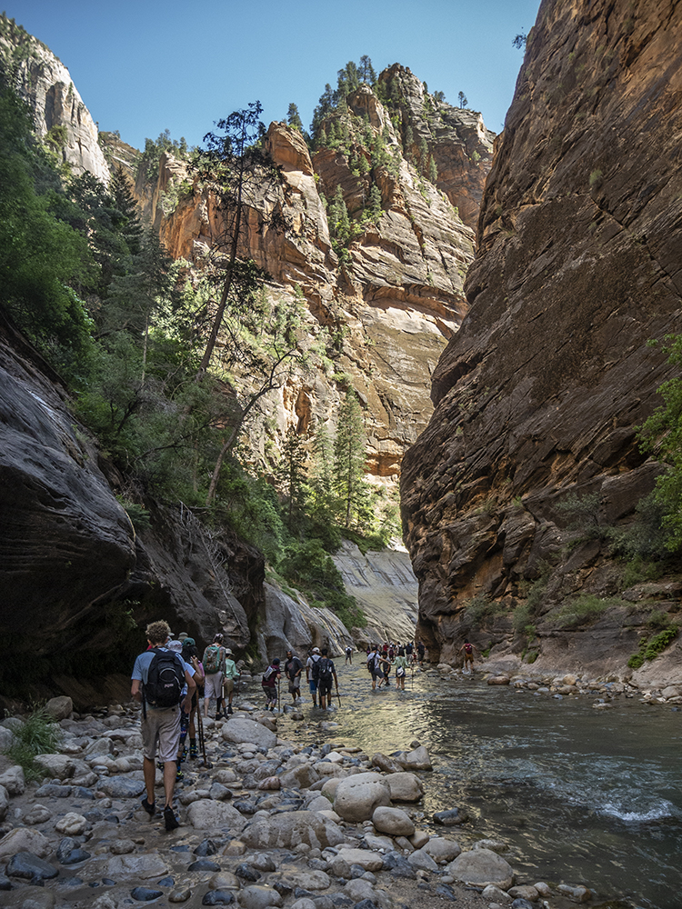 Hikers with walking sticks splash through the Narrows