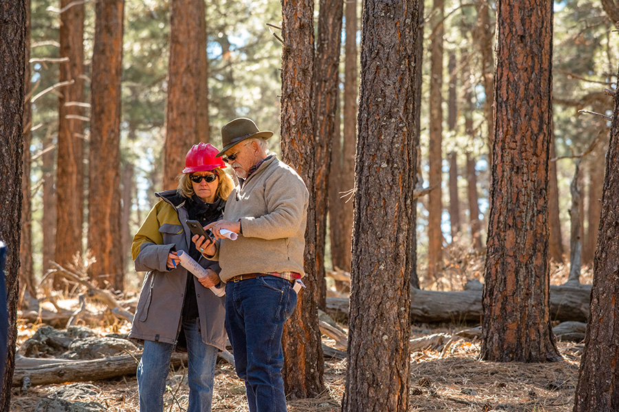 A man and woman in hard hats stand in a ponderosa pine forest looking at a map