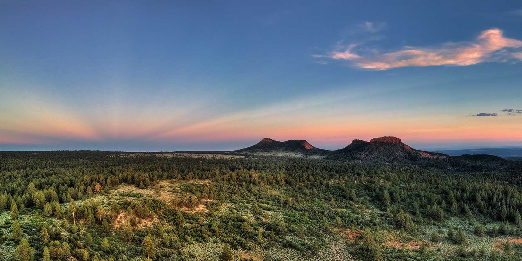 Bears ears buttes, two green buttes, against a pink and blue sky in Bears Ears National Monument