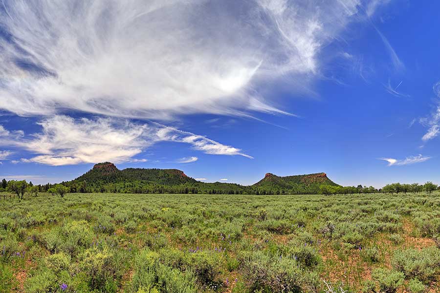 Bears Ears buttes with blue sky and wispy clouds