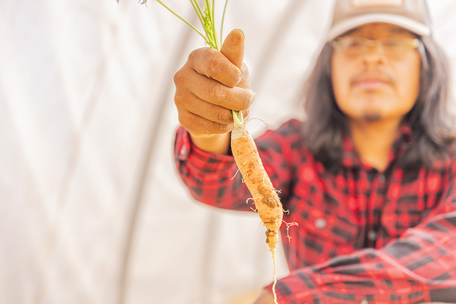 Young man with black hair and baseball cap holds up a freshly pulled carrot with a green top