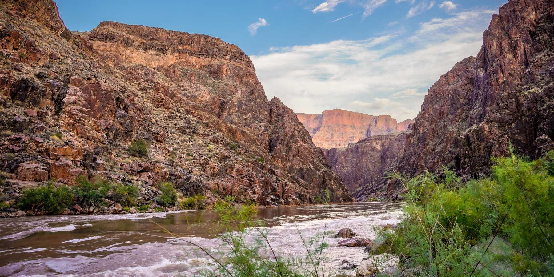 Colorado River, brown water with greenery at the edge and Grand Canyon cliffs rising above