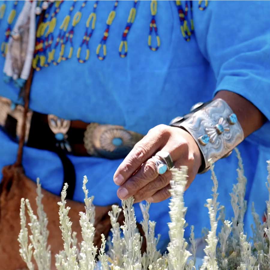 Closeup of woman's hand in sagebrush