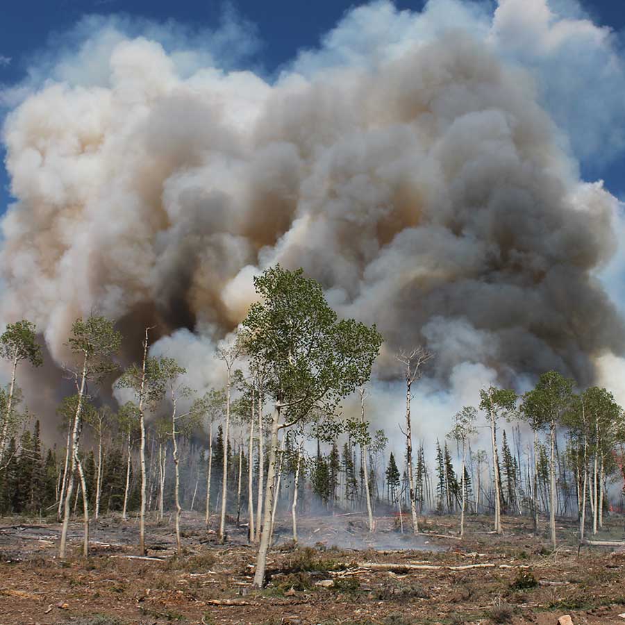 A prescribed fire at Fishlake National Forest in Utah