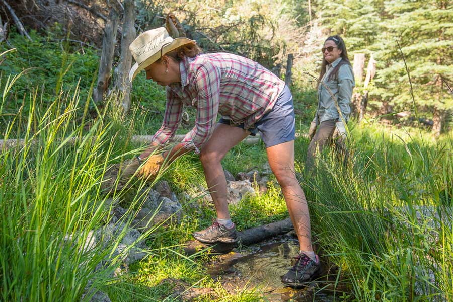 A volunteer in hat and shorts works near a spring, deep in the grass near water