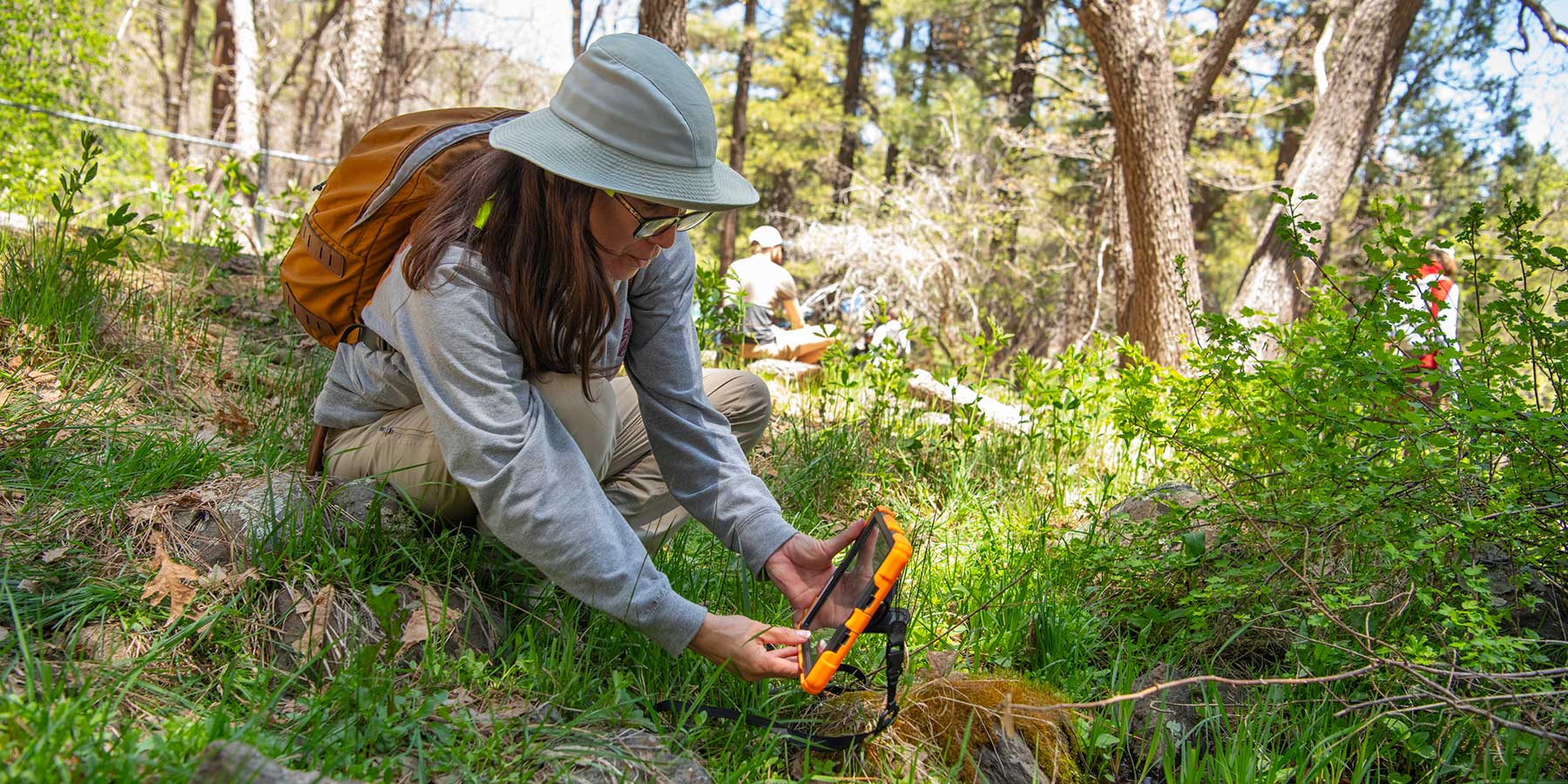 A Trust volunteer takes a photo while surveying a spring in Arizona