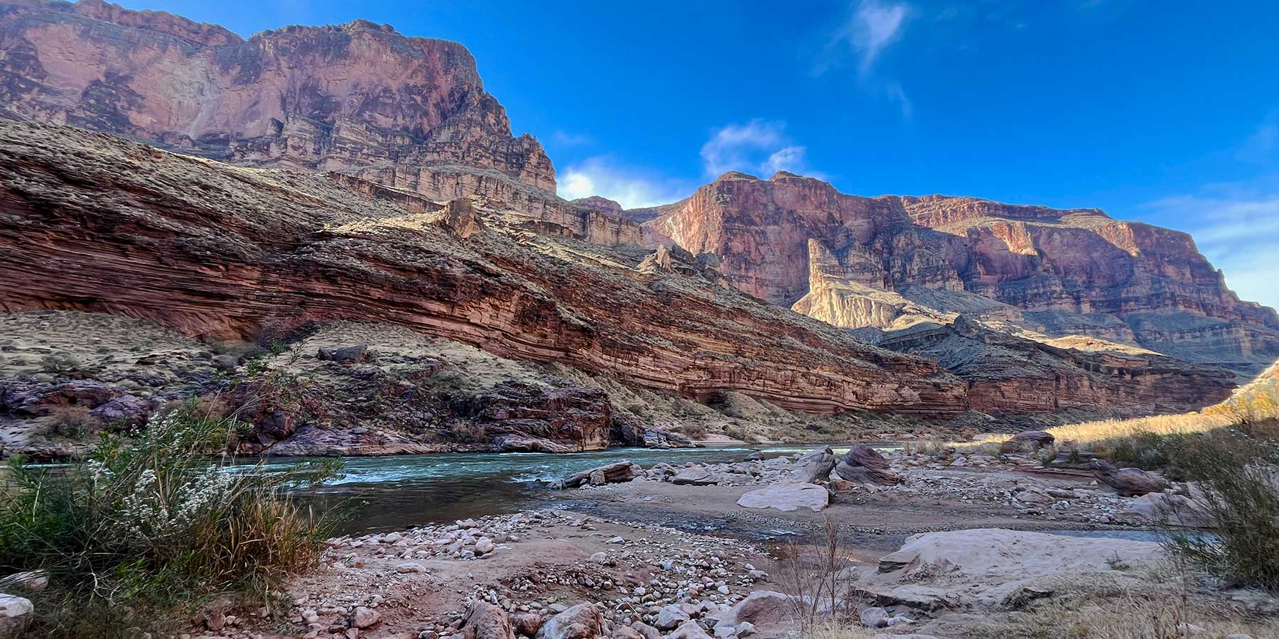 A view of the Grand Canyon from the bottom along a green Colorado River.