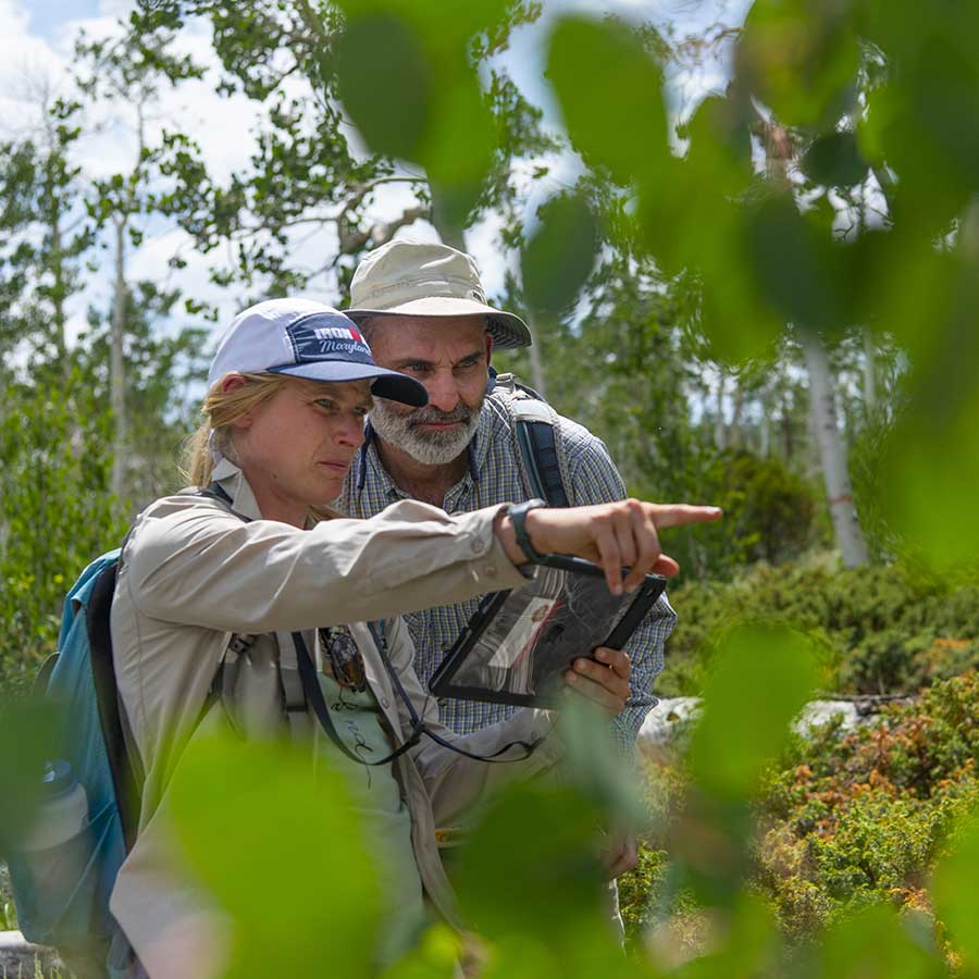 A woman and a man look at an ipad as a woman points toward something through green aspen leaves