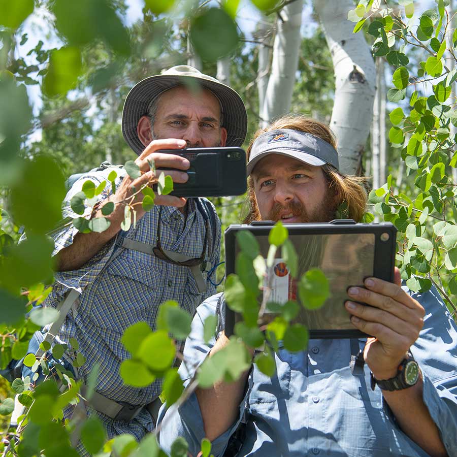 Two volunteers take photos as data points to track the recovery of aspen trees over time.