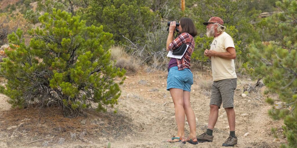 A woman watches through binoculars, searching for pinyon jays