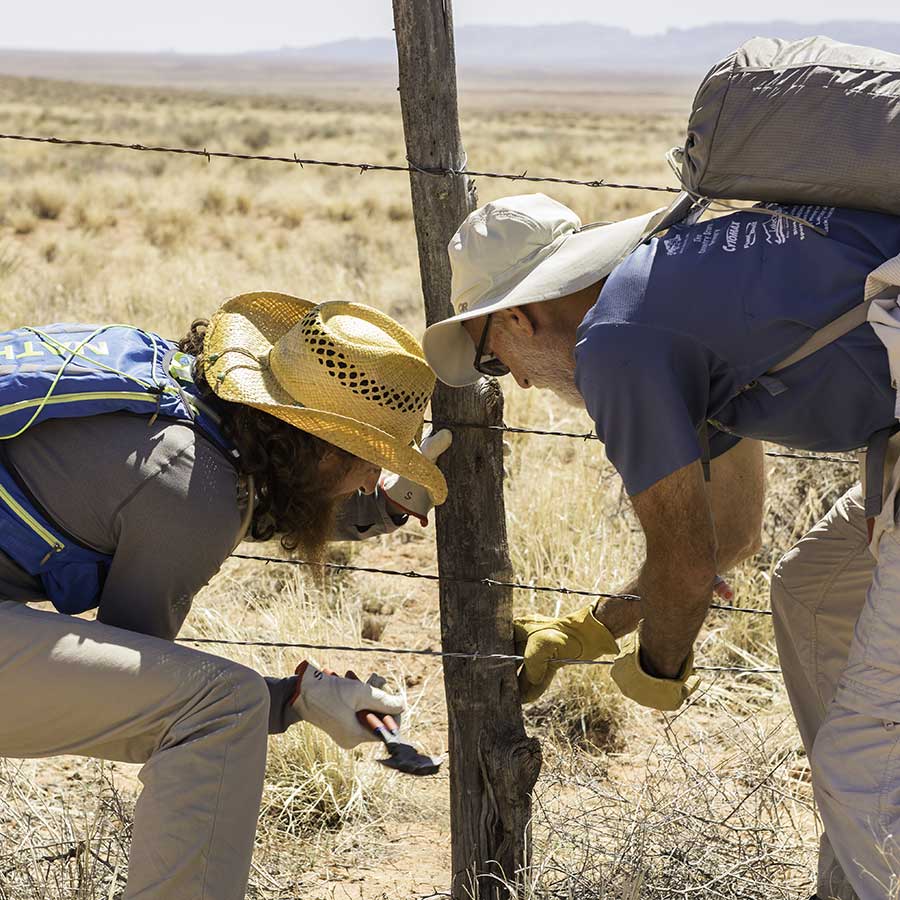 A pair of volunteers work together to replace the bottom strand of a barbed wire fence.