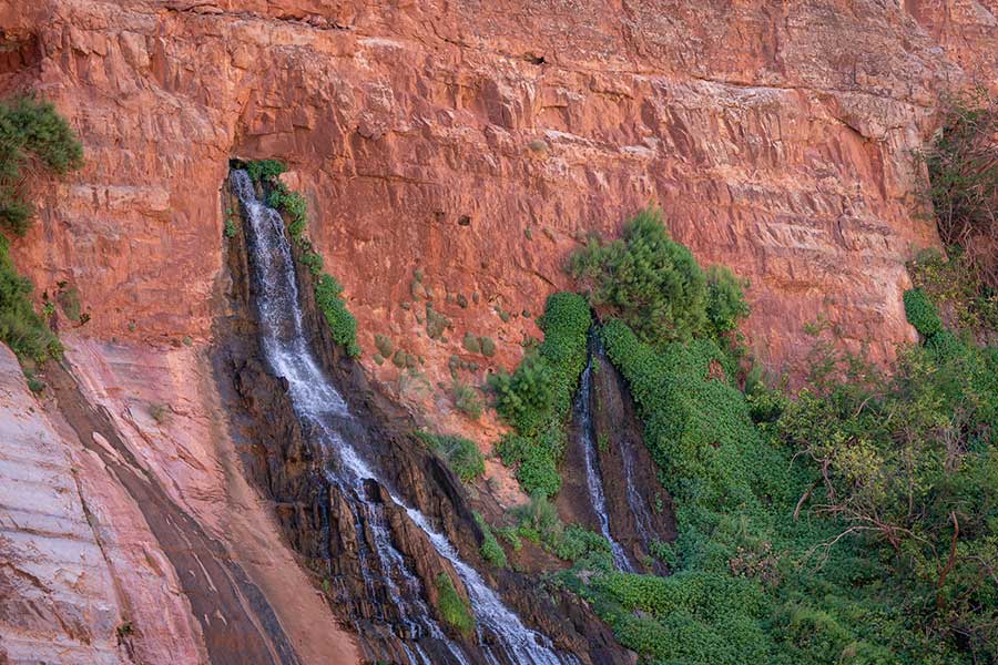 Vasey's Paradise deep in the Grand Canyon