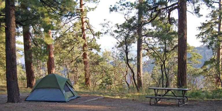 Green tent beside a picnic table under large ponderosa pine trees on the edge of the Grand Canyon, north rim